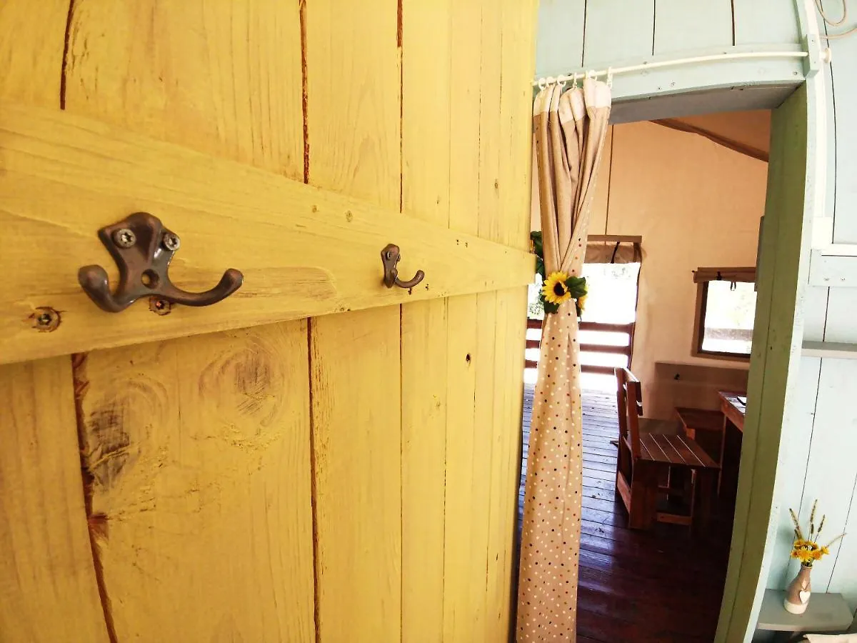 Sunflower Camping Villa Novigrad Holiday park