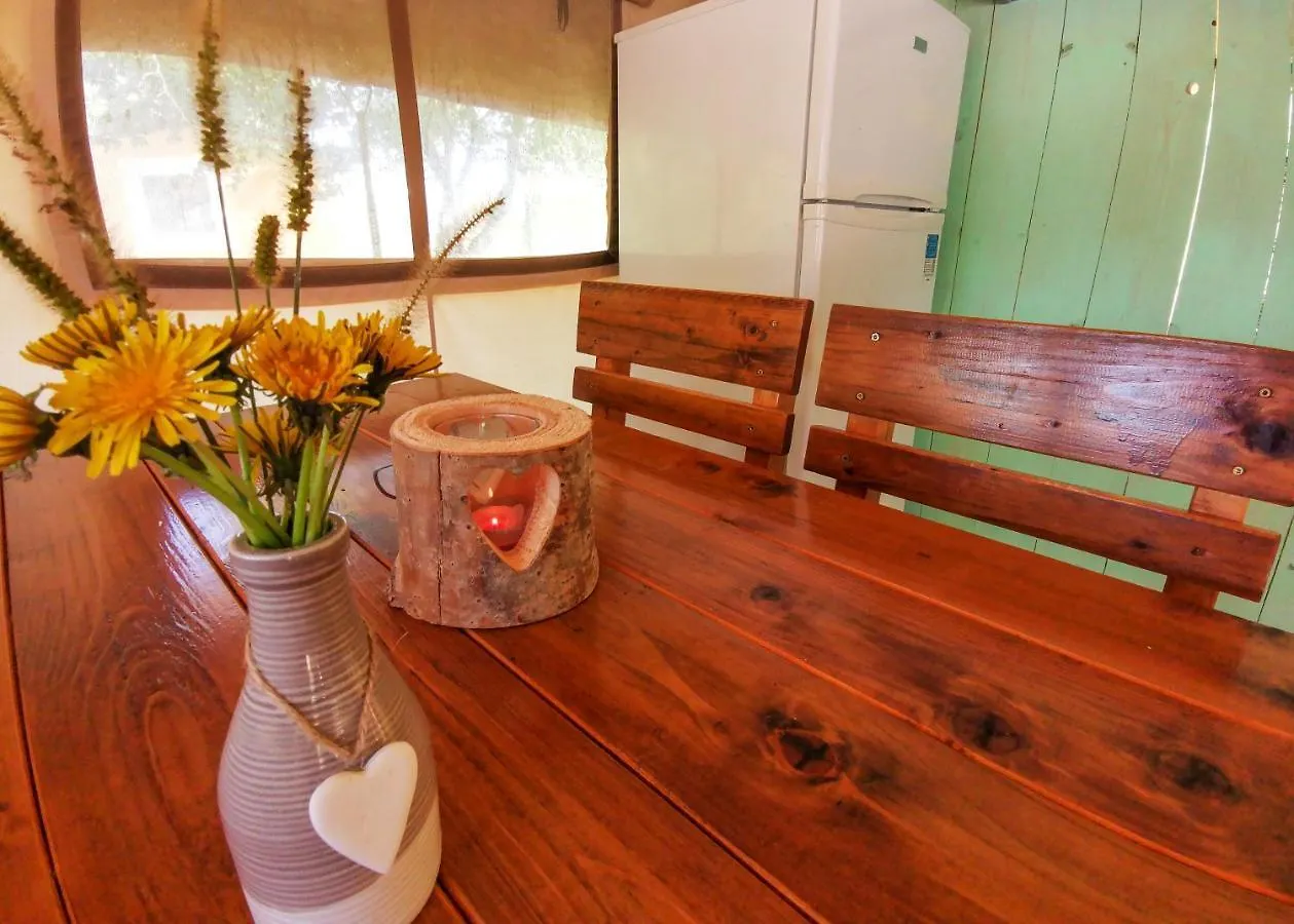 Sunflower Camping Villa Novigrad Holiday park Mareda