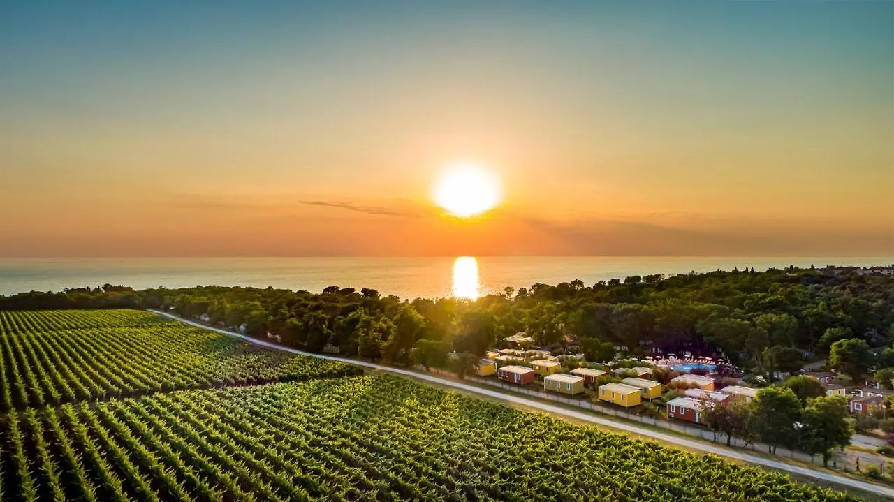 Sunflower Camping Villa Novigrad Holiday park Mareda