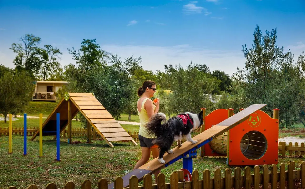 Sunflower Camping Villa Novigrad 4*, Mareda Croatia