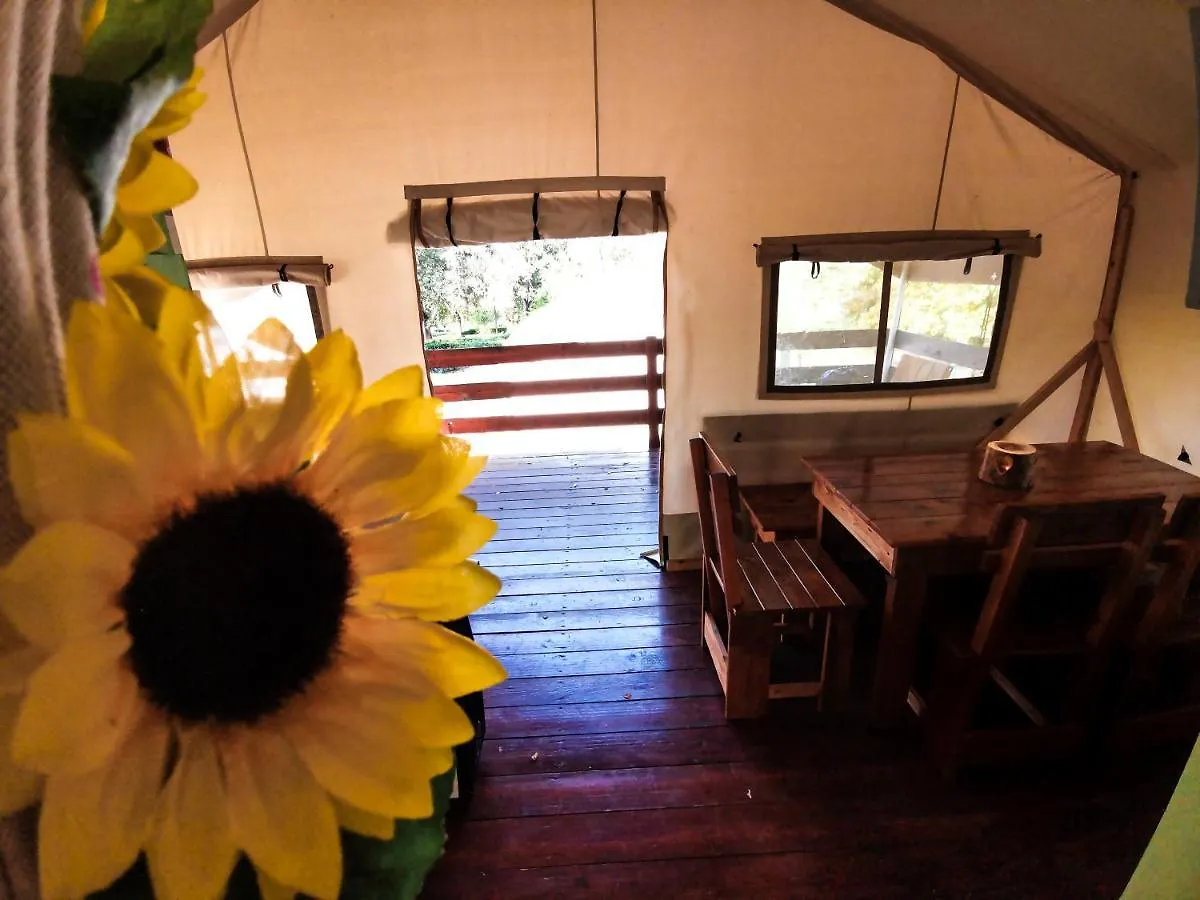 Sunflower Camping Villa Novigrad
