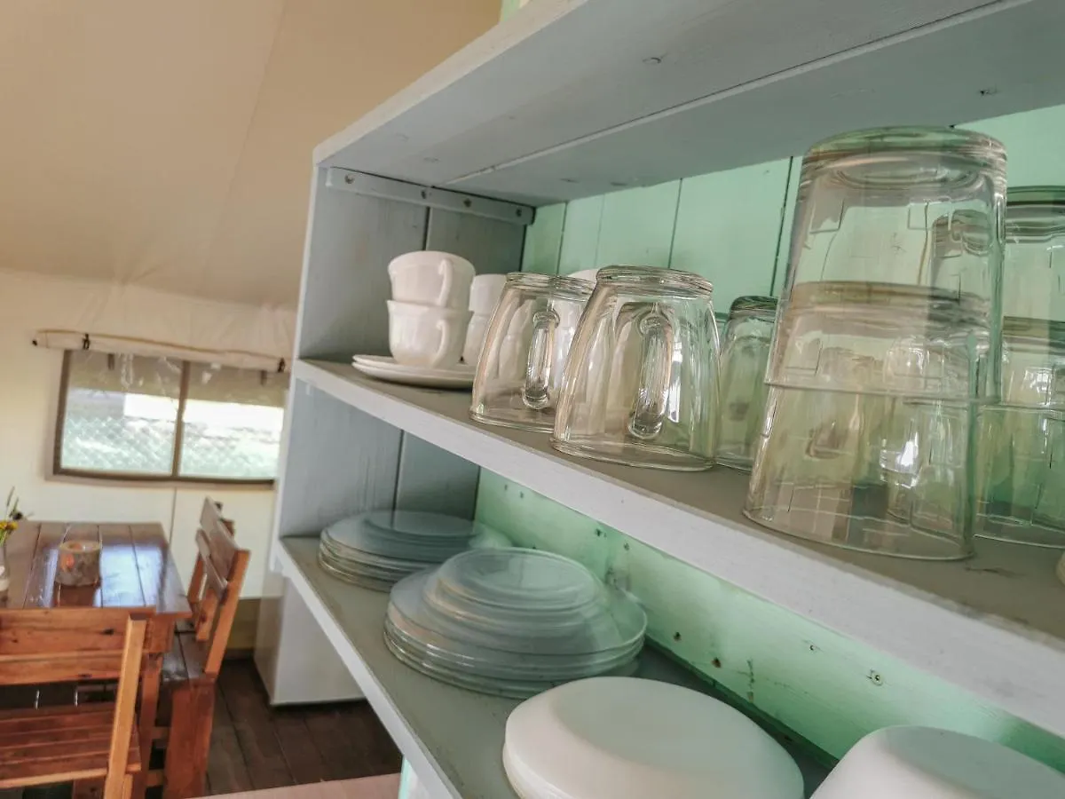 Sunflower Camping Villa Novigrad