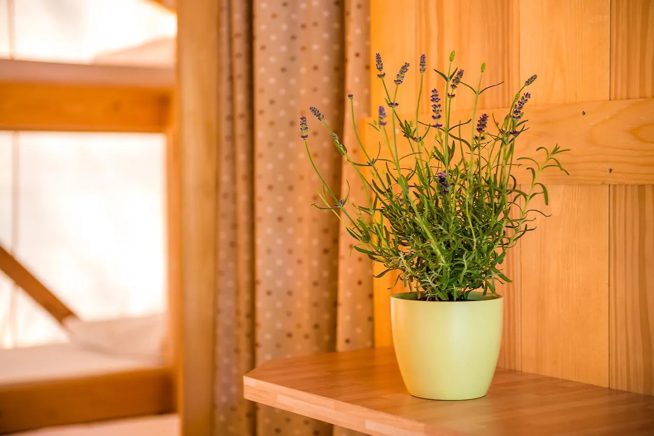 Sunflower Camping Villa Novigrad Holiday park Mareda